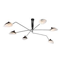 Дополнительная картинка Подвесная люстра ST Luce Spruzzo SL305.402.06