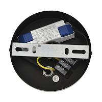 Дополнительная картинка 8379/9L Lumion Подвесной светильник CAMOMILE