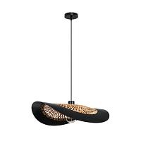 Дополнительная картинка Подвесной светильник Arte Lamp WOODSTOCK A7059SP-1BK
