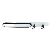Дополнительная картинка Потолочный светильник Arte Lamp LUCAS A2600PL-32BK