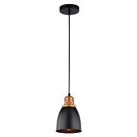 Дополнительная картинка Подвесной светильник Arte Lamp Eurica A4248SP-1BK