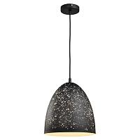 Дополнительная картинка Подвесной светильник Lussole Loft LSP-9892
