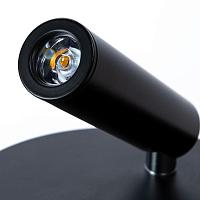 Дополнительная картинка Светодиодный спот Arte Lamp Electra A8232AP-1BK