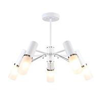 Дополнительная картинка Потолочная люстра F-Promo Viator 2559-5P
