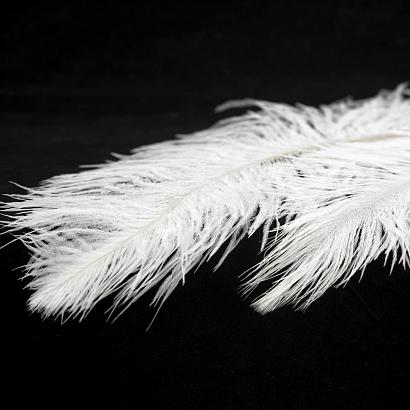 люстры люстра lussole grlsp-8600, доставка по Казахстану 