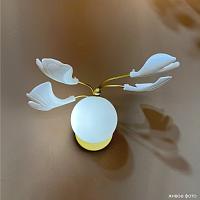 Настенный светильник Crystal Lux COLIBRI AP1 GOLD Crystal Lux 0141/401