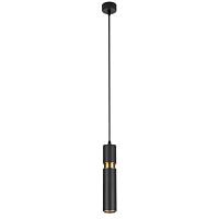 Дополнительная картинка Подвесной светильник Arte Lamp RAN A3145SP-1BK