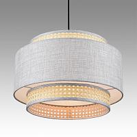 Дополнительная картинка 8043/1 Lumion Подвесной светильник LAUNA