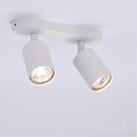 Дополнительная картинка Потолочный светильник Arte Lamp AQUARIUS A3226PL-2WH