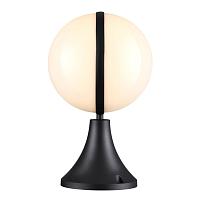 Дополнительная картинка Ландшафтный светильник Odeon Light Nature Lomeo 4832/1A