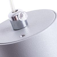 Дополнительная картинка Подвесной светильник Arte Lamp Canopus A1516SP-1GY
