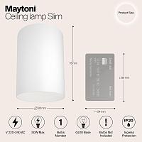 Дополнительная картинка Потолочный светильник Maytoni Alfa C014CL-01W