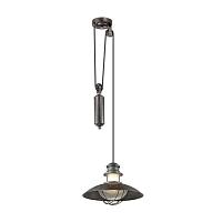 Дополнительная картинка Уличный подвесной светильник Odeon Light Nature Dante 4164/1A