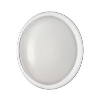 7776/DLN PALE SN 110 Светильник JOLLY