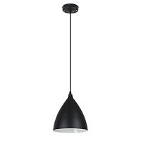 Дополнительная картинка Подвесной светильник Arte Lamp LARK A7075SP-1BK
