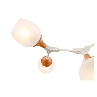 купить Потолочная люстра Evoluce Ciotolla SLE113502-05 в Алматы, svet.kz, доставка по Казахстану 