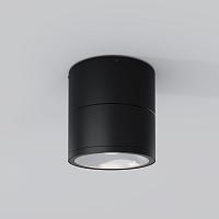 Дополнительная картинка Потолочный светильник Outdoor O310CL-L7GF3K