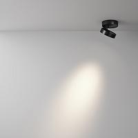 Дополнительная картинка Потолочный светильник Technical C022CL-12W4K-B-1