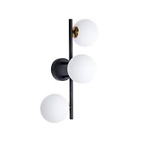 Дополнительная картинка Настенный светильник Arte Lamp GEMINI A2243PL-3BK