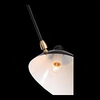Дополнительная картинка Подвесная люстра ST Luce Spruzzo SL305.402.06