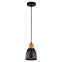 Дополнительная картинка Подвесной светильник Arte Lamp Eurica A4248SP-1BK