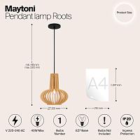 Дополнительная картинка Подвесной светильник Maytoni MOD193PL-01W