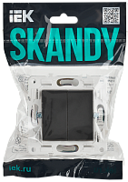 SKANDY Выключ. 2-кл. 10А SK-V04G граф. IEK 