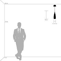 Подвесной светильник Lightstar Simple Light 810 810013