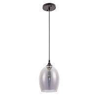Дополнительная картинка Подвесной светильник Arte Lamp Propus A4344SP-1BK