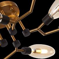 Дополнительная картинка Потолочная люстра ST Luce Desima SL1174.302.08