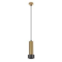 Дополнительная картинка Подвесной светильник Arte Lamp RAN A3147SP-1PB
