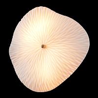 Дополнительная картинка Настенный светильник Crystal Lux 1434/403