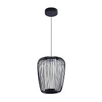 Дополнительная картинка Подвесной светильник Arte Lamp FLARE A3528SP-12BK