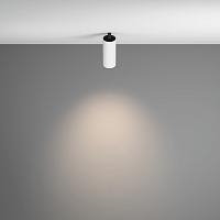 Дополнительная картинка Потолочный светильник Technical C053CL-L12W4K-W-W