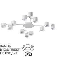 Дополнительная картинка 8235/12C Lumion  Люстра потолочная GARETA