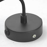 Дополнительная картинка Подвесной светильник Lussole Loft LSP-9888
