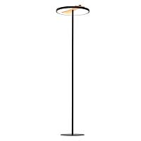 723727 Торшер LODI Lightstar купить в Алматы svet.kz