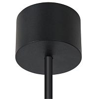 Дополнительная картинка Точечный подвесной светильник Arte Lamp LAZIO A5367SP-1SS