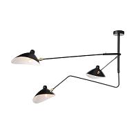Дополнительная картинка Потолочная люстра ST Luce Spruzzo SL305.402.03