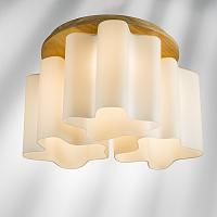 Дополнительная картинка Потолочная люстра Lightstar Nubi Legno 802035
