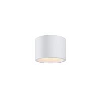 Потолочный светильник Technical C090CL-10W3K-W купить в Алматы svet.kz
