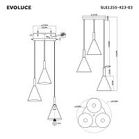 Дополнительная картинка SLE1255-423-03 Светильник подвесной 