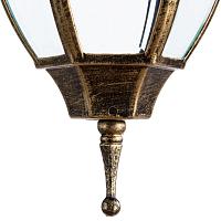 Дополнительная картинка Уличный подвесной светильник Arte Lamp Pegasus A3151SO-1BN