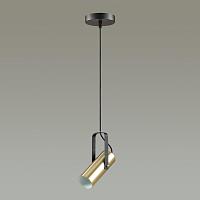 Дополнительная картинка Подвесной светильник Lumion Moderni Claire 3714/1