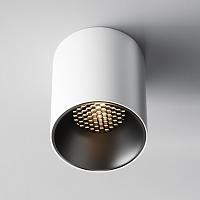 Дополнительная картинка Потолочный светильник Technical C064CL-12W3K-RD-WB