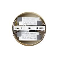 Дополнительная картинка 6564/60L Lumion Подвесной светильник PARKER