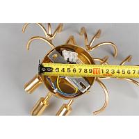 APL.849.01.03 Светильник настенный Aployt Zhozefina
