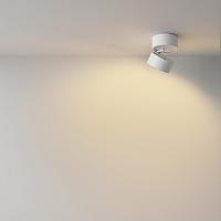 Дополнительная картинка Потолочный светильник Technical C024CL-12W2.7K-W-1