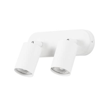 Настенно-потолочные Потолочный светильник Arte Lamp AQUARIUS A3226PL-2WH, доставка по Казахстану 