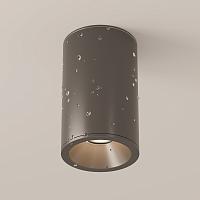 Дополнительная картинка Потолочный светильник Technical C029CL-01-S-B